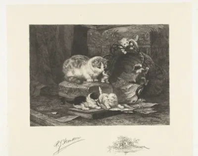 Poes met vijf spelende jongen