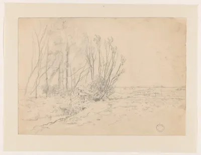 Polderlandschap met een groep bomen aan een sloot