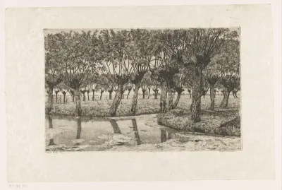 Polderlandschap met knotwilgen