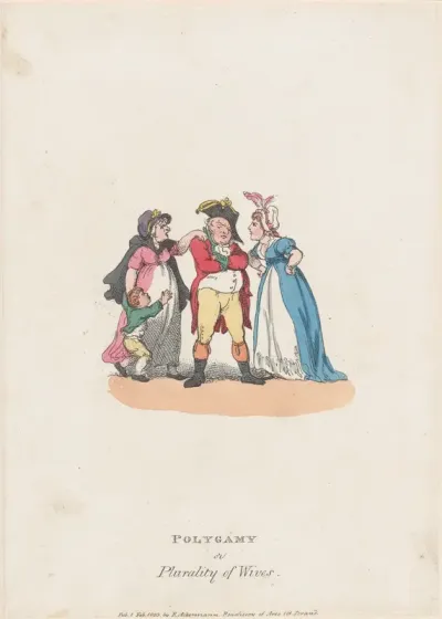 Polygamy, or Plurality of Wives