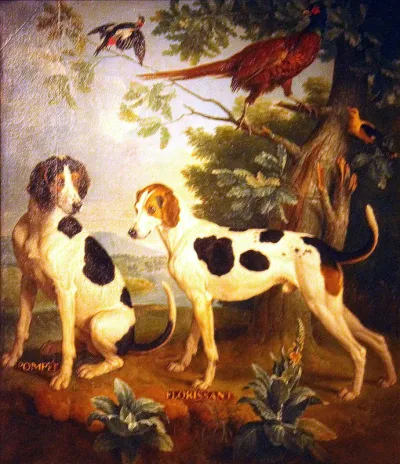 Pompée et Florissant, chiens de la meute de Louis XV