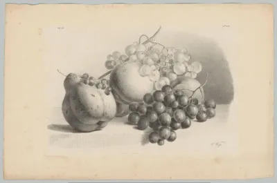 Pompoen, aalbessen, druiven en perziken
