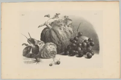 Pompoen, druiven, roos en aardbeien