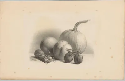 Pompoen, perziken, abrikoos, pruimen en hazelnoten