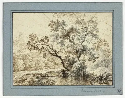 Pond in a Wooded Landscape