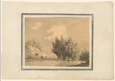 Poplar