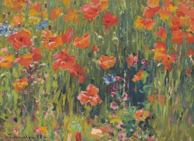 Poppies