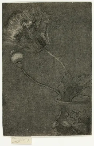 Poppy in a Vase