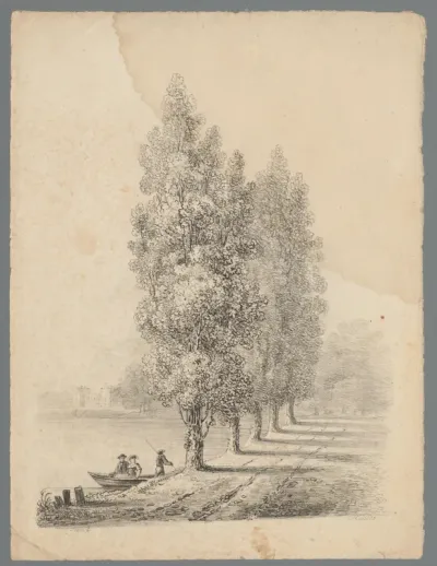 Populieren aan het water langs een landweg