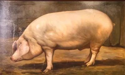 Porc (D992.0002.118)