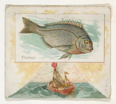 Porgy, from Fish from American Waters series (N39) for Allen & Ginter Cigarettes