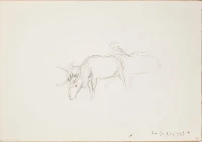 Poroja. Todennäköisesti n. 1925-28