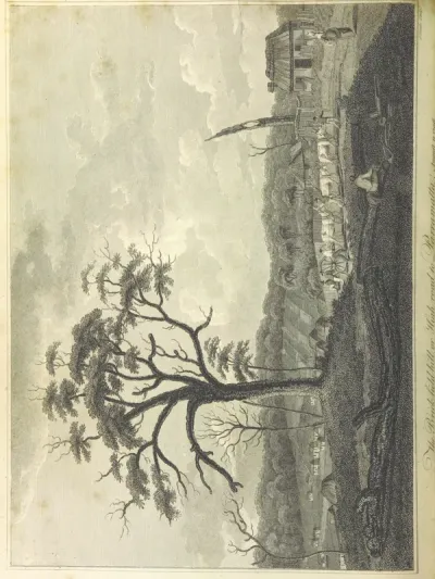 portrait from "[An Account of the English Colony in New South Wales ... To which are added, some particulars of New Zealand; compiled ... from the MSS. of Lieutenant-Governor King ... Illustrated by engravings.]".