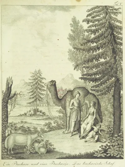 portrait from "Gallerie der Welt, in einer bildlichen und beschreibenden Darstellung von merkwürdigen Ländern: von Völkern ... von Thieren ... von alten und neuen Denkmälern ... Neue verbesserte Auflage. Mit ... Kupfertafeln".