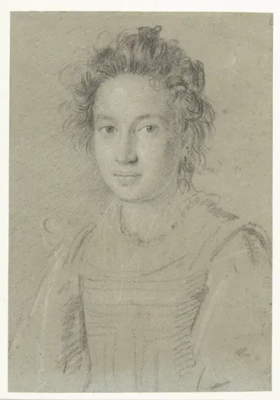 Portrait of a Young Woman