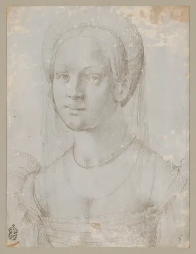 Portrait of a Young Woman