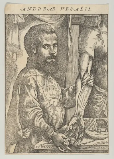Portrait of Andreas Vesalius, half-length in profile standing in front of a table dissecting the arm of a body; frontispiece to Andreas Vesalius 'De humani corporis fabrica libri septem'
