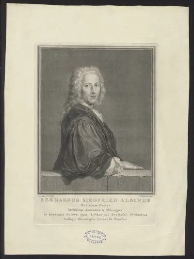 Portrait of Bernardus Siegfried Albinus, doctor of medicine at Leiden