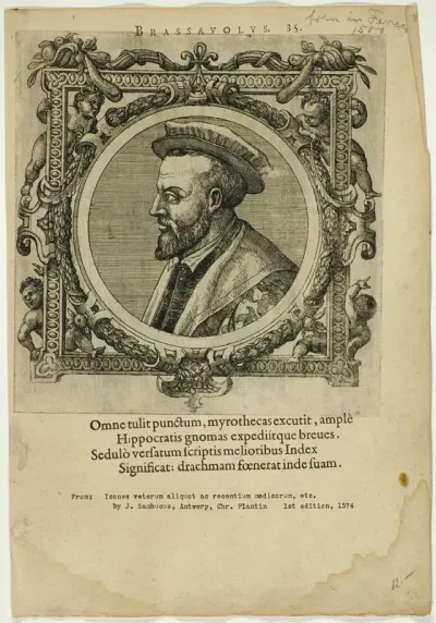 Portrait of Brassauolus