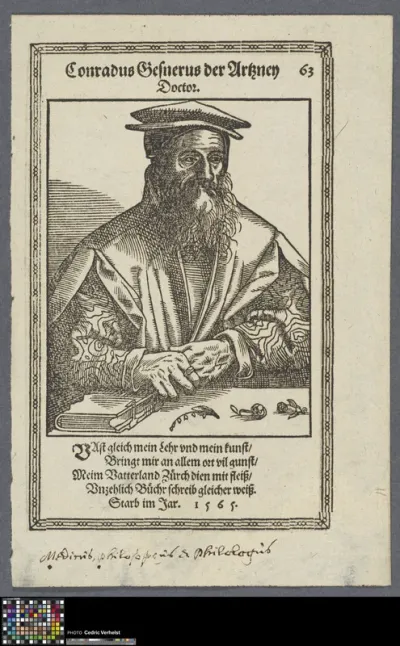 Portrait of Conrad Gessner, Swiss humanist scholar
