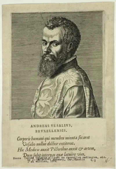Portrait of Doctor Andreas Vesalius of Brussels