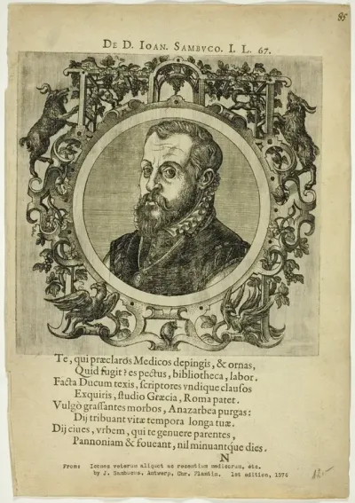 Portrait of Dr. Joan Sambuco