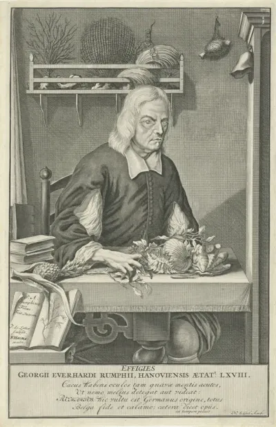 Portrait of Georg Everhard Rumphius