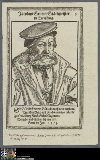Portrait of Jacob Sturm von Sturmeck, mayor of Strasbourg