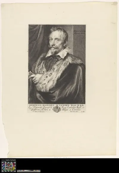 Portrait of Jan van den Wouwer