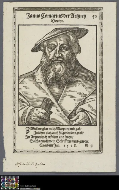 Portrait of Janus Cornarius, Saxon humanist