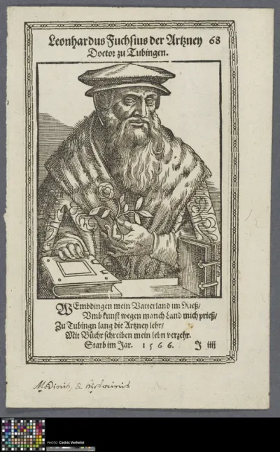 Portrait of Leonhart Fuchs, German humanist scholar