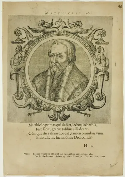 Portrait of Matthiolus