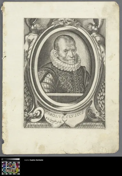 Portrait of physician and botanist Charles de l'Écluse