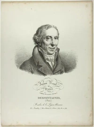 Portrait of Réné Desfonataines