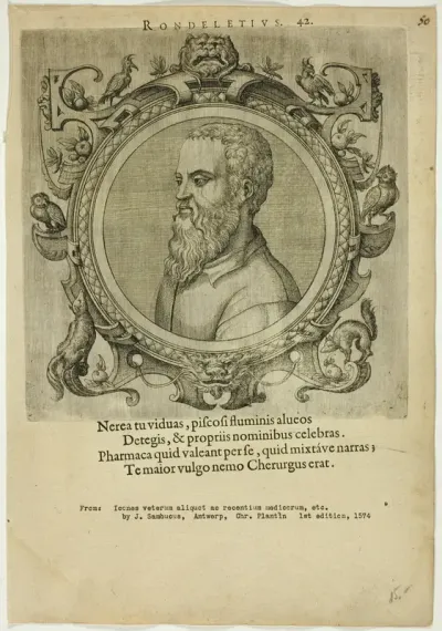 Portrait of Rondeletius