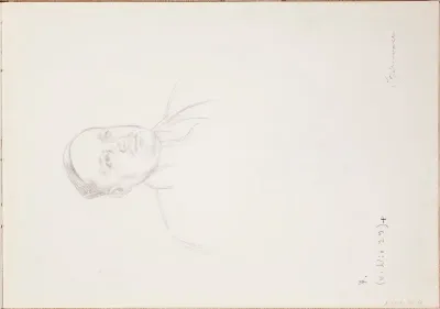 Portrait of Stjernvall