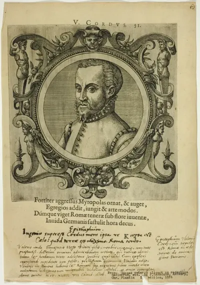 Portrait of V. Cordus