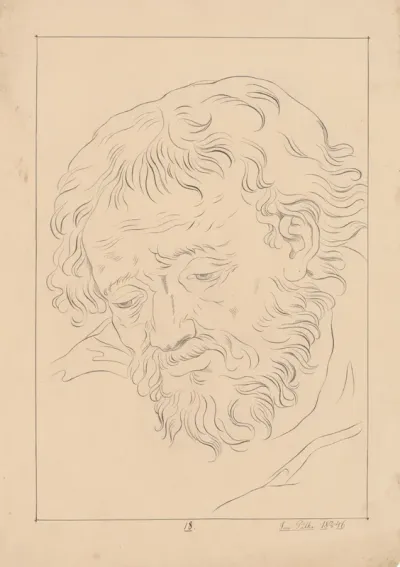 Portrait Study of a Man with Beard