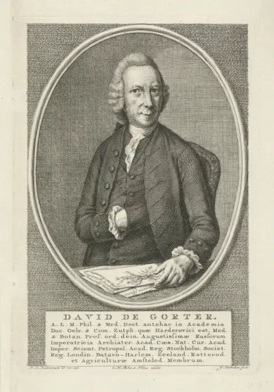 Portret David de Gorter