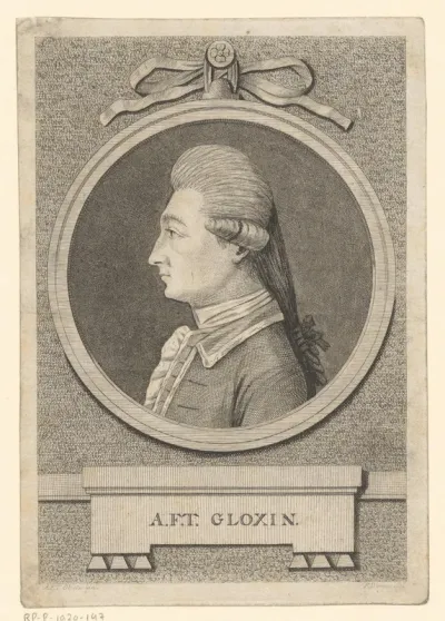 Portret van A.F.T. Gloxin