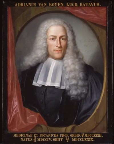 Portret van Adriaan van Royen, hoogleraar Kruidkunde en Geneeskunde te Leiden