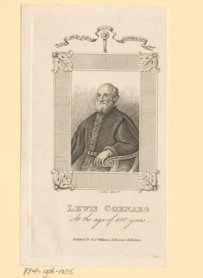 Portret van Alvise Corner