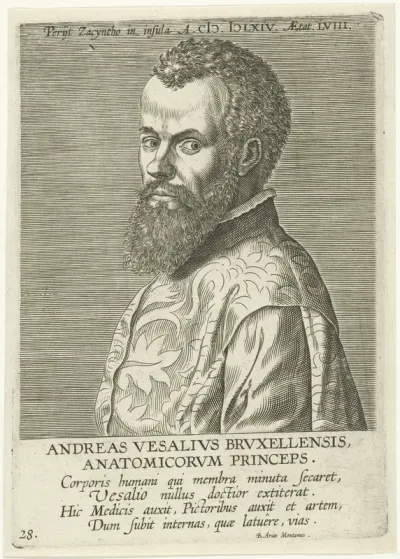 Portret van Andreas Vesalius