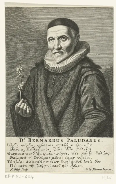 Portret van Bernardus Paludanus