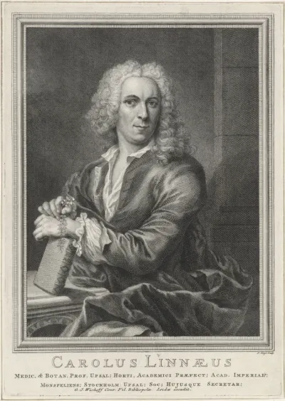 Portret van Carolus Linaeus