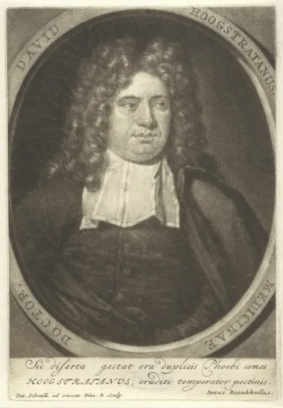 Portret van David Fransz. van Hoogstraten