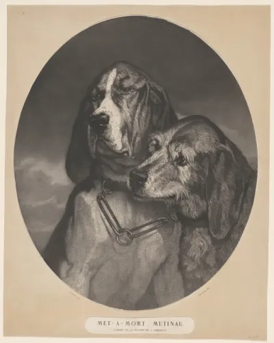 Portret van de keizerlijke bloedhonden Met-a-Mort en Mutinau
