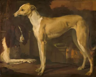 Portret van een hazewindhond en een patrijshond