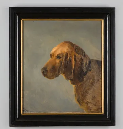 Portret van een hond