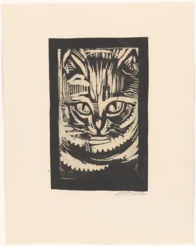 Portret van een kat